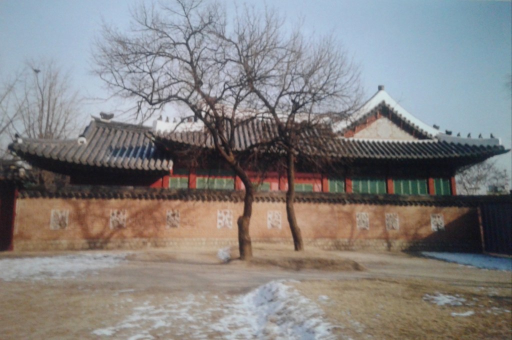 What I Saw in&nbsp;Seoul