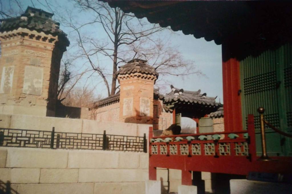 What I Saw in&nbsp;Seoul