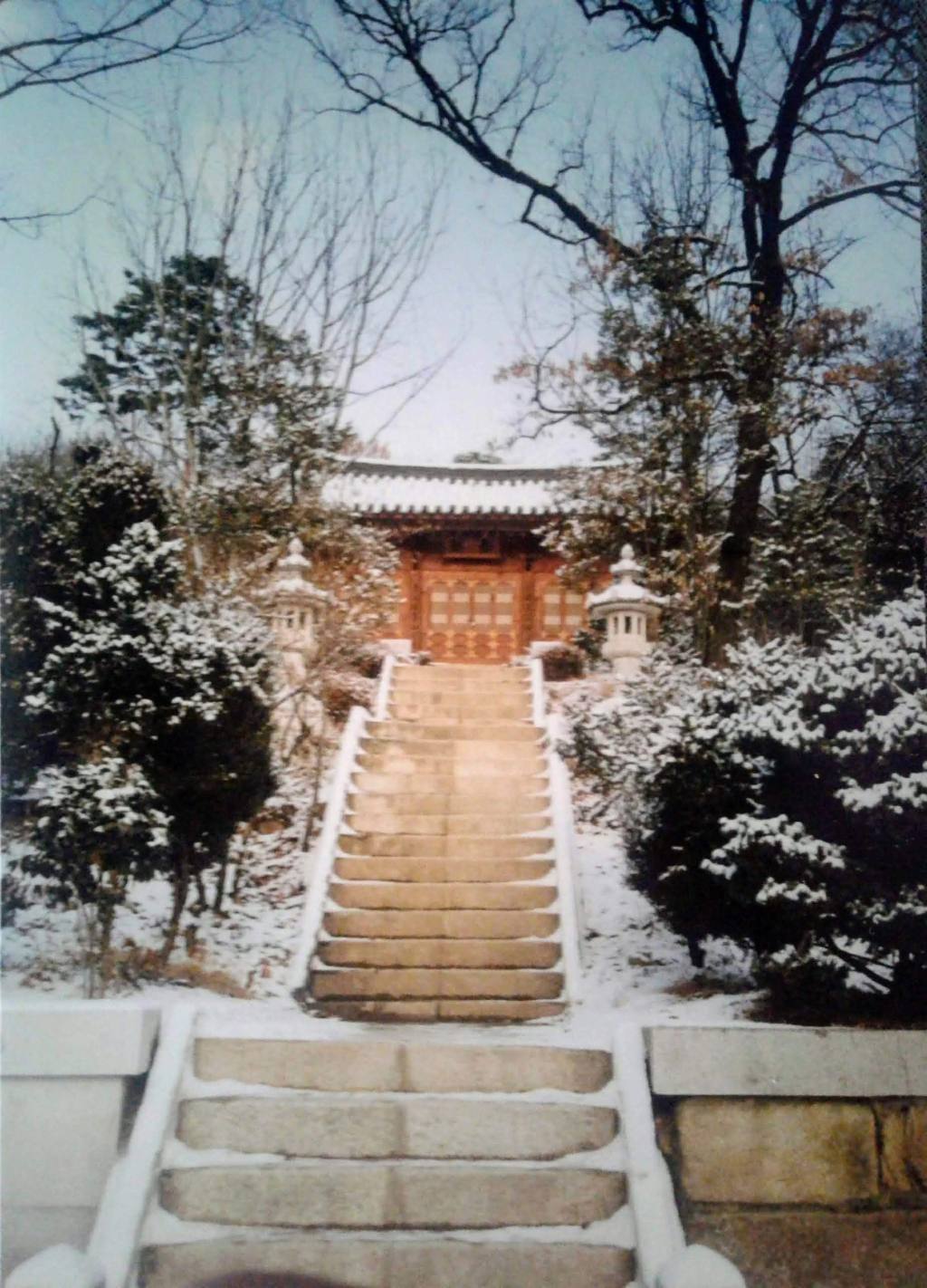 Remarkable or Unusual Things I Saw in&nbsp;Korea…